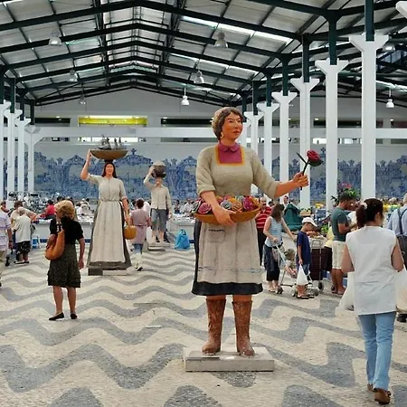 Teodosio - Ar Condicionado-perto Praias - Zona *